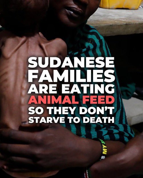 This is not a slogan. It’s a humanitarian nightmare unfolding in real time.

The people of El Fasher are not asking for comfort — they are fighting for survival.

🚫 This is not a natural disaster.
🚫 This is not an unfortunate coincidence.
✅ This is systematic starvation and a