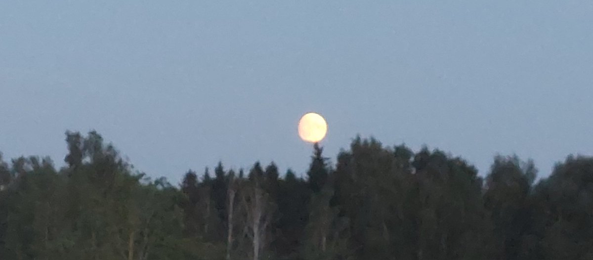 AgrisSuveizda's tweet image. Vāja spēle, glīta ainava