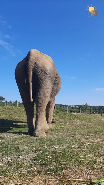 Les plus beaux derrières du Limousin 
The cutest butts of The Limousin