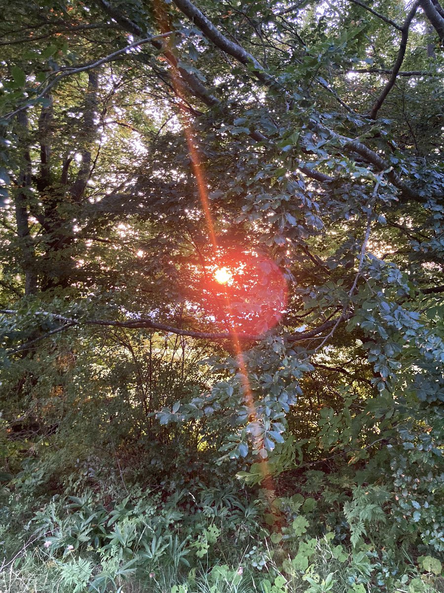 platonicdiary's tweet image. 