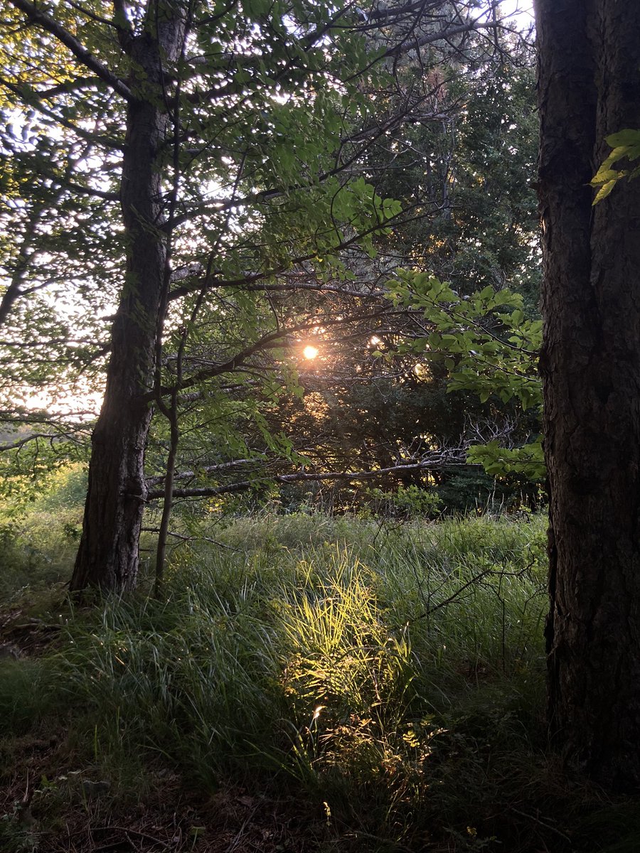 platonicdiary's tweet image. 