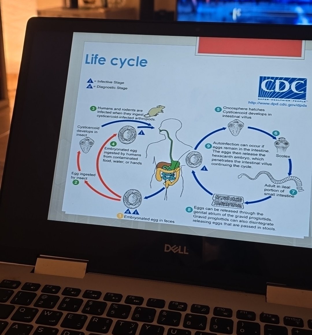 لو خيروك ايش نوع طفيليات تكون مين راح تكون🤔؟