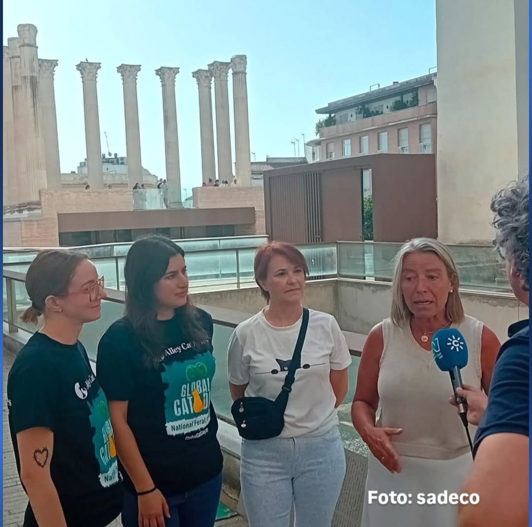 Es un honor haber recibido a @AlleyCatAllies 🐱✨y que nos elogien el programa de gestión de colonias felinas de Córdoba, un modelo totalmente exportable de control poblacional y bienestar felino.
¡Gracias por la visita! 💚
#ColoniasFelinas #MétodoCER #Córdoba