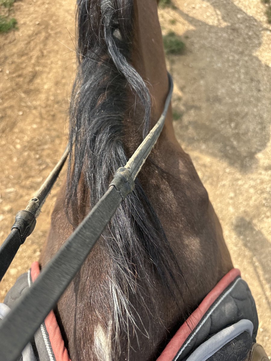 Nuovi mezzi per allontanarsi sempre di più dai foresti