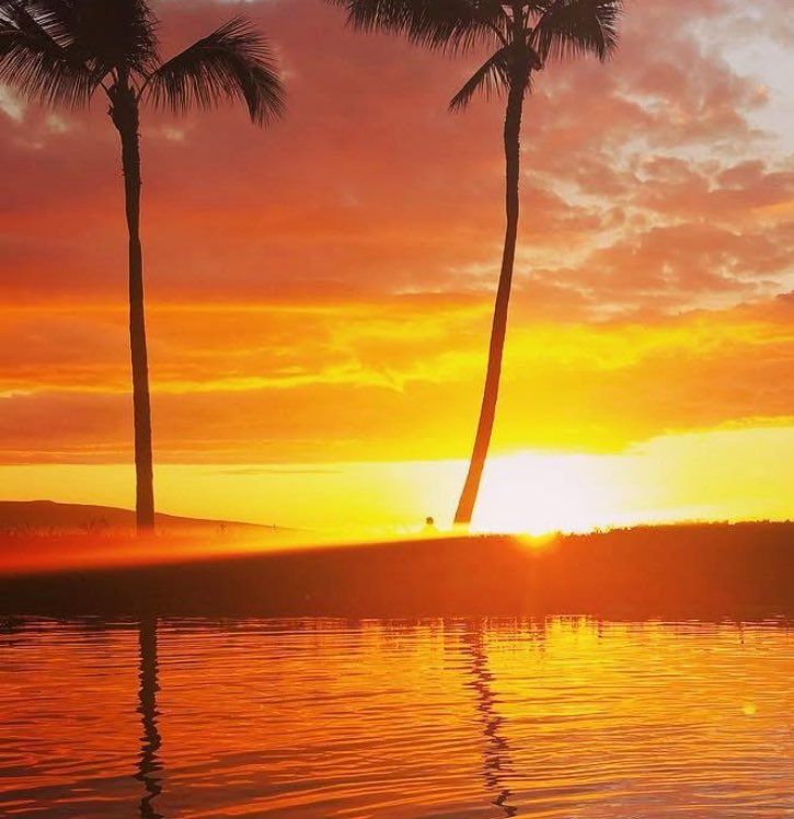 Clare Dooley (@claredooley) on Twitter photo 