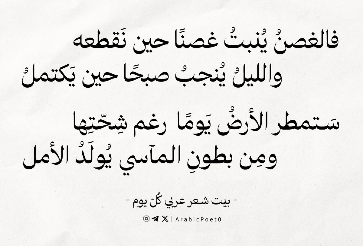 بيت شعر عربي كل يوم (@arabicpoet0) on Twitter photo 