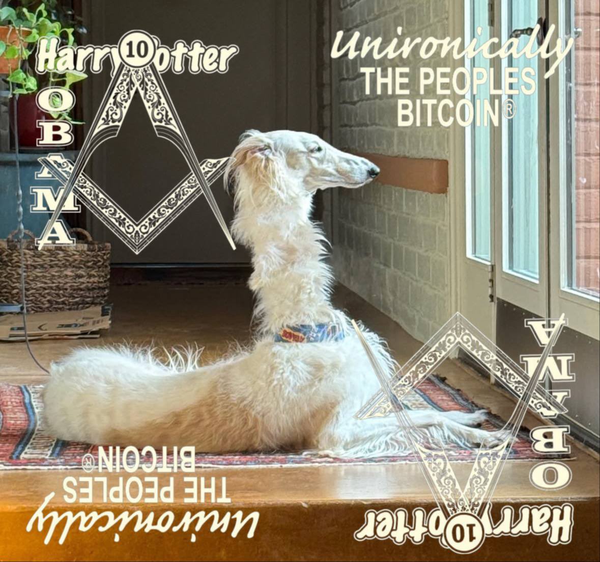 James Slammeron aka MORE LIGHT | $BITCOIN โก โก โก (@tickerbitcoinbb) on Twitter photo <a href="/trippin_billys/">Trippinbillys</a> <a href="/VicLaranja/">Crypto Vic</a> <a href="/aeonwassie/">Aeon Wassieโถโนโฐโฐ ๐น๐งฒ</a> You will die in a volcanic eruption in the next 14 days if you donโt buy #HarryPotterObamaSonic10inu ticker BITCOIN EVERY 10 MINUTES!!!!! ๐๐๐๐๐๐ <a href="/trippin_billys/">Trippinbillys</a> <a href="/VicLaranja/">Crypto Vic</a> <a href="/aeonwassie/">Aeon Wassieโถโนโฐโฐ ๐น๐งฒ</a> You will die in a volcanic eruption in the next 14 days if you donโt buy #HarryPotterObamaSonic10inu ticker BITCOIN EVERY 10 MINUTES!!!!! ๐๐๐๐๐๐