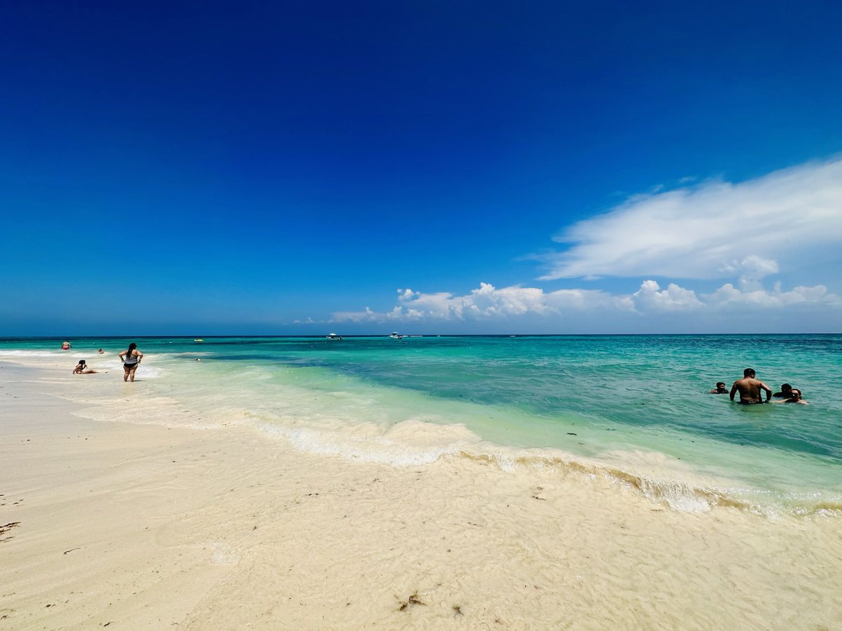 🇲🇽 ✈️ Vuelos a CANCÚN por solo USD589

🗓️ Hay disponibilidad enero y febrero 
✈️ Vuelos excelentes a cargo de AeroMexico
🪑 Escala corta en Ciudad de México 
🪪 Solo necesitas pasaporte 

Ya sabes que tengo lugares recomendables para alojarte en Cancún que son una maravilla y