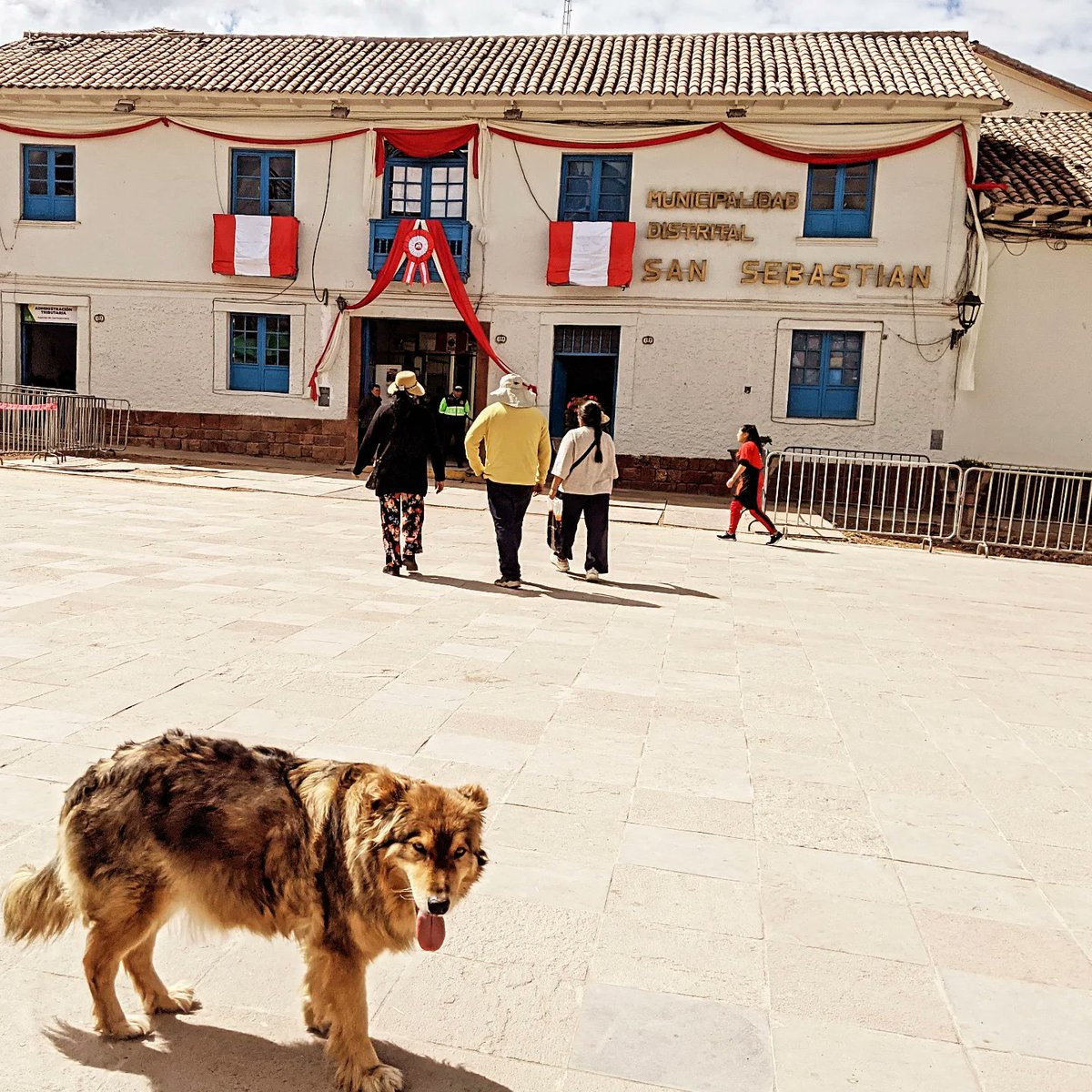 先週はペルー独立記念日、独立196周年。街中に国旗か掲げられていた、調べてみると掲揚が義務付けられていて、そうでないと罰金が科されるらしいと聞くと怖いわー