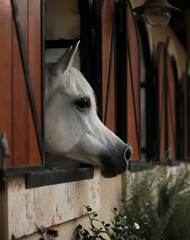 Ah (@ah94116494) on Twitter photo 