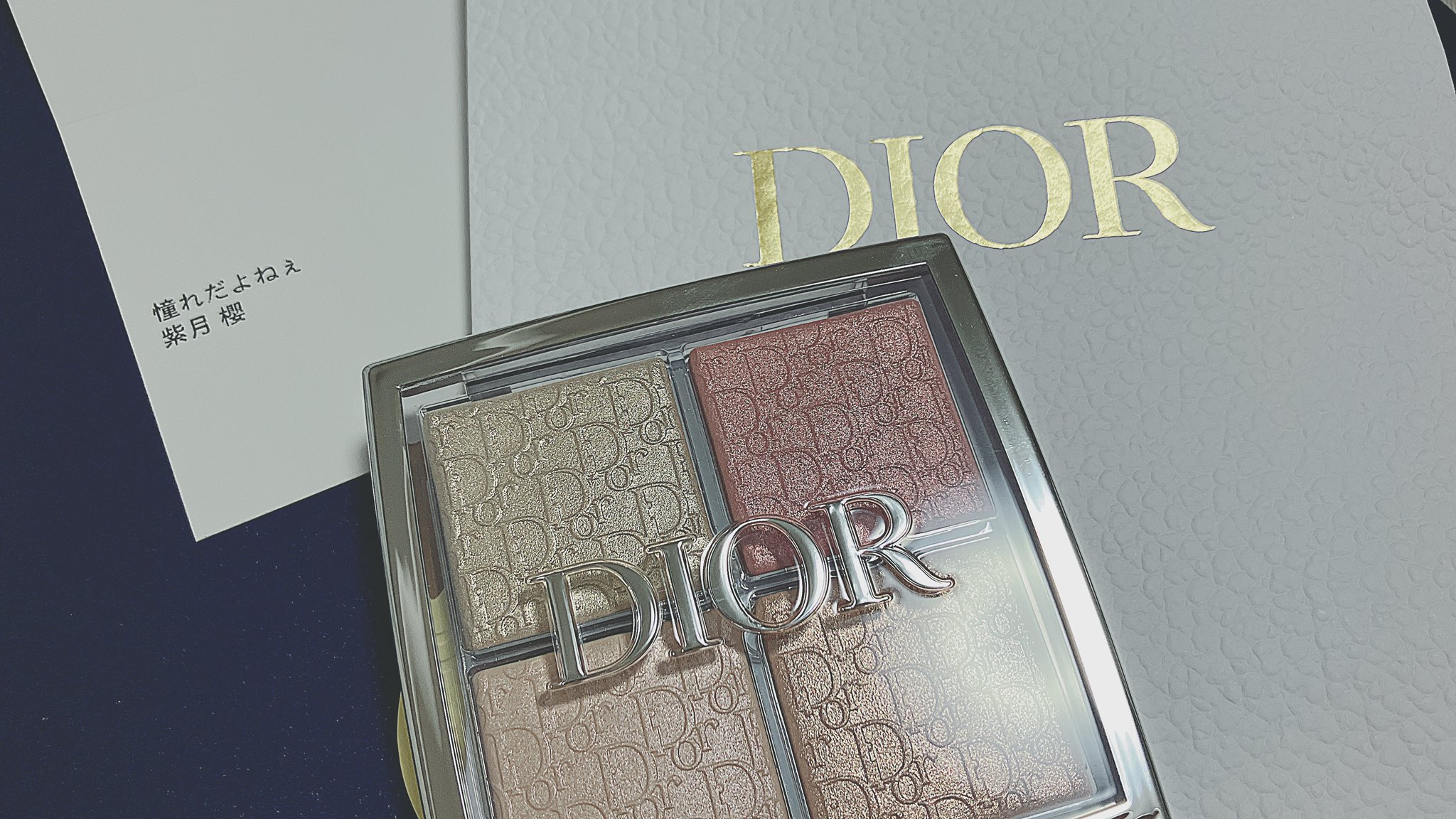 視線を集めて◇Logo ベスト◇Dior 視線を集めて◇Logo ベスト◇Dior