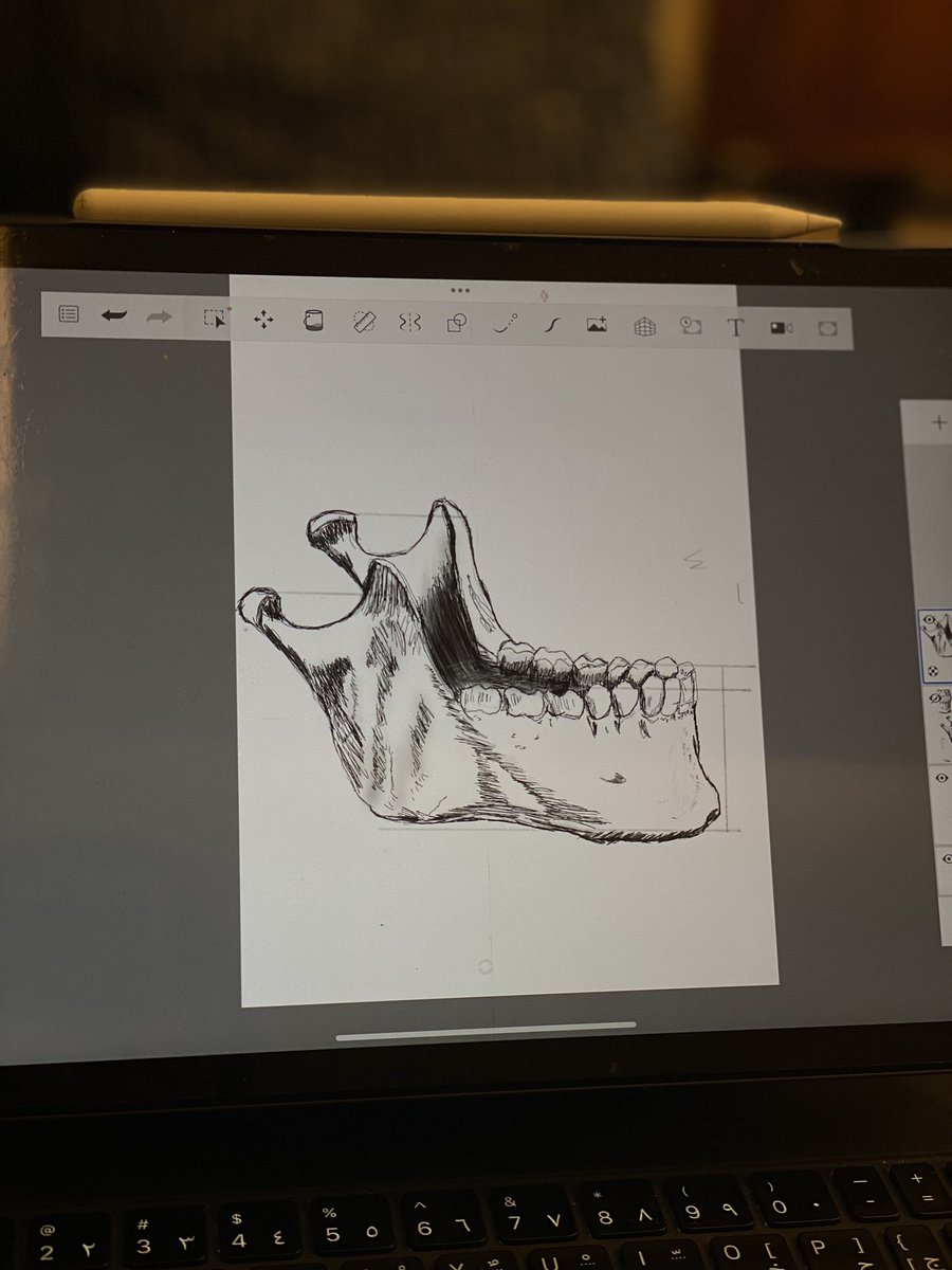 ملخص رسمات الأسبوع 🖼️👨🏽‍🎨