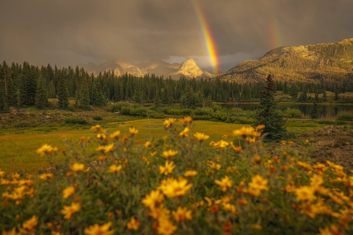 Cody Mayer tweet media