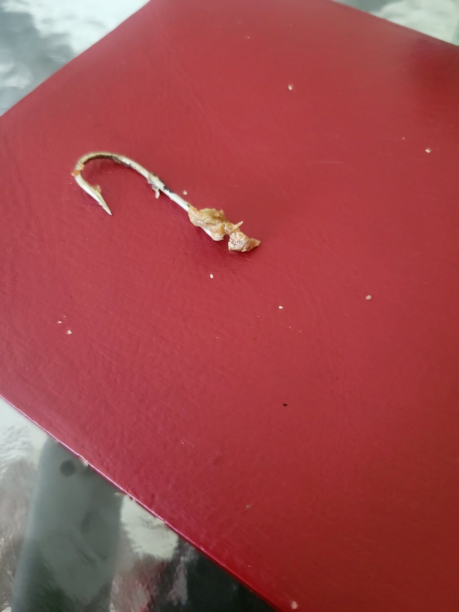 Just pulled this hook from the head of a fish i was eating.