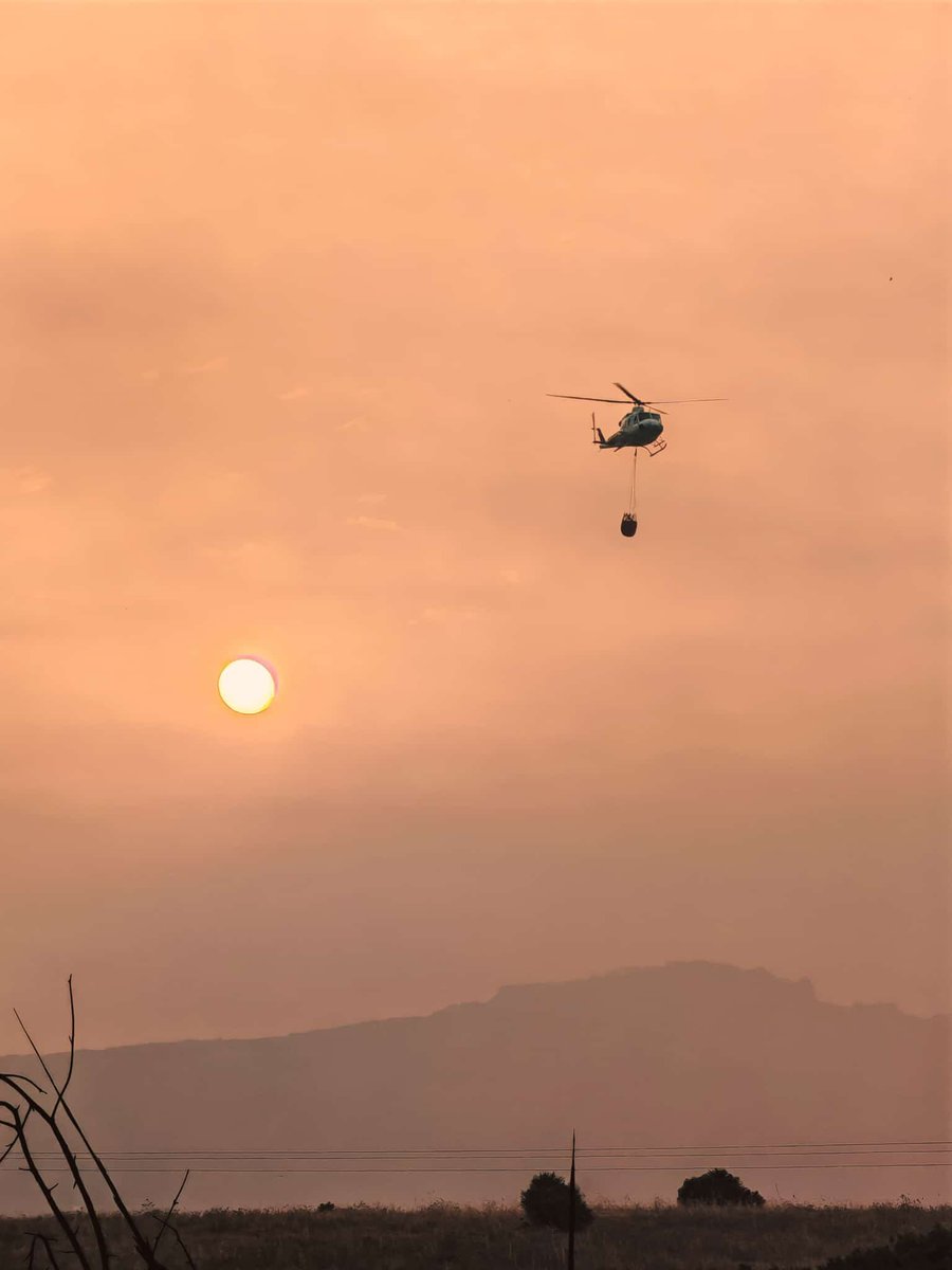 🗓️06/08/2025 | INTERVENCIONES: 14

🔸Incendios:
CA: Tarifa, estabilizado
GR: Carataunas, estabilizado
HU: Rociana del Condado, extinguido
SE: Constantina, activo

🔸Conatos:
AL: Serón
CO: La Carlota
JA: Jaén, Andújar
SE: El Castillo de las Guardas

Ayer, #IFTarifa.