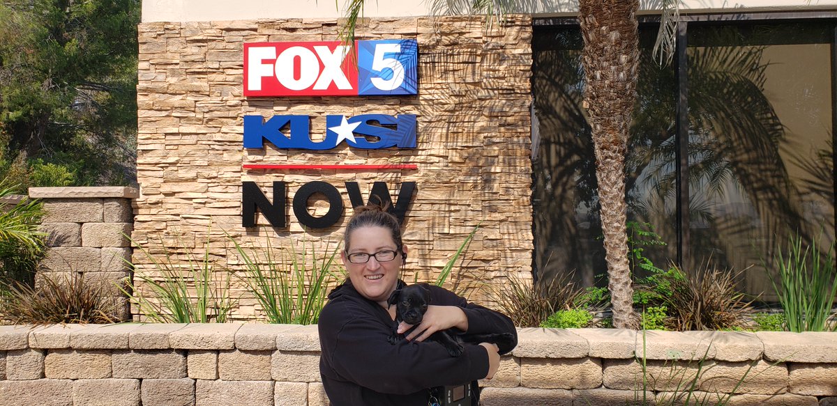 Behind the scenes on the FOX 5 San Diego Morning News. Introducing Adoptable Dogs Fumble and Gafe from Rancho Coastal Humane Society. Available NOW. Remember, RCHS is open until 6:00 Thursday. During August, fees waived on pets 6 months and older. sdpets.org