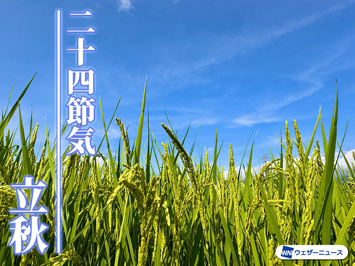 【二十四節気 #立秋】
今日8月7日からは「立秋」です。
「秋の実感なんて、まったくないよ」と思う人が多いでしょう。でも朝夕の風に「新涼」を感じたり、ヒグラシの鳴き声に秋の気配を感じることも。どんな時季か見ていきましょう。
weathernews.jp/news/202508/06…