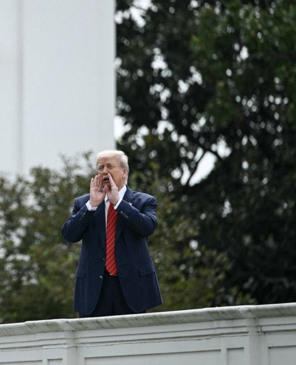 JUST BUY SOME $WAL BRO‼️