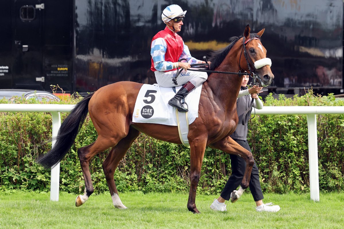 Don’t miss the <a href="/BBAG_Sales/">BBAG</a> August Online Sale‼️

33 Lots are catalogued including MULTIPLE G1 placed LAZIO (Make Believe)💥

LAZIO was🥉in the G1 🇩🇪 Derby and the G1 Dallmayr Preis

Your chance to buy one of the best German 3yos👀 

See the full catalog here: