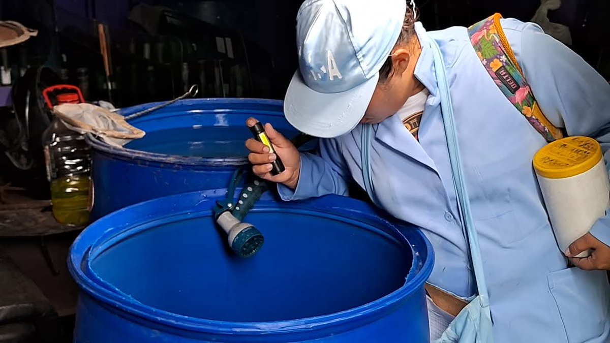 Sol de Libertad tweet media