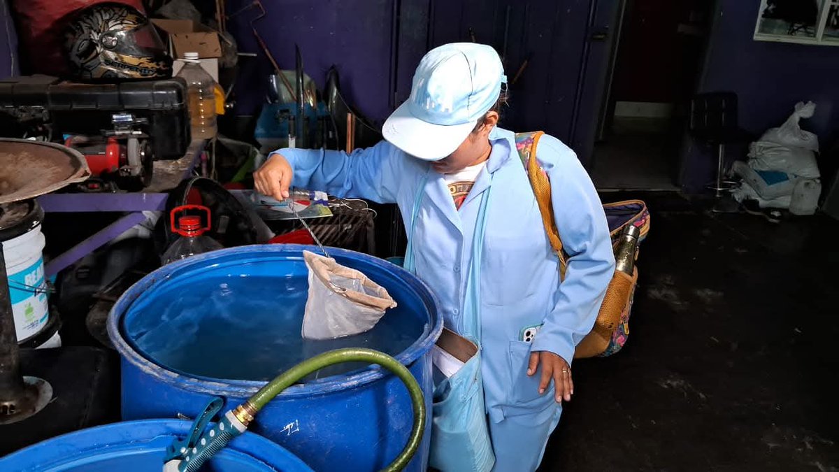 Sol de Libertad tweet media