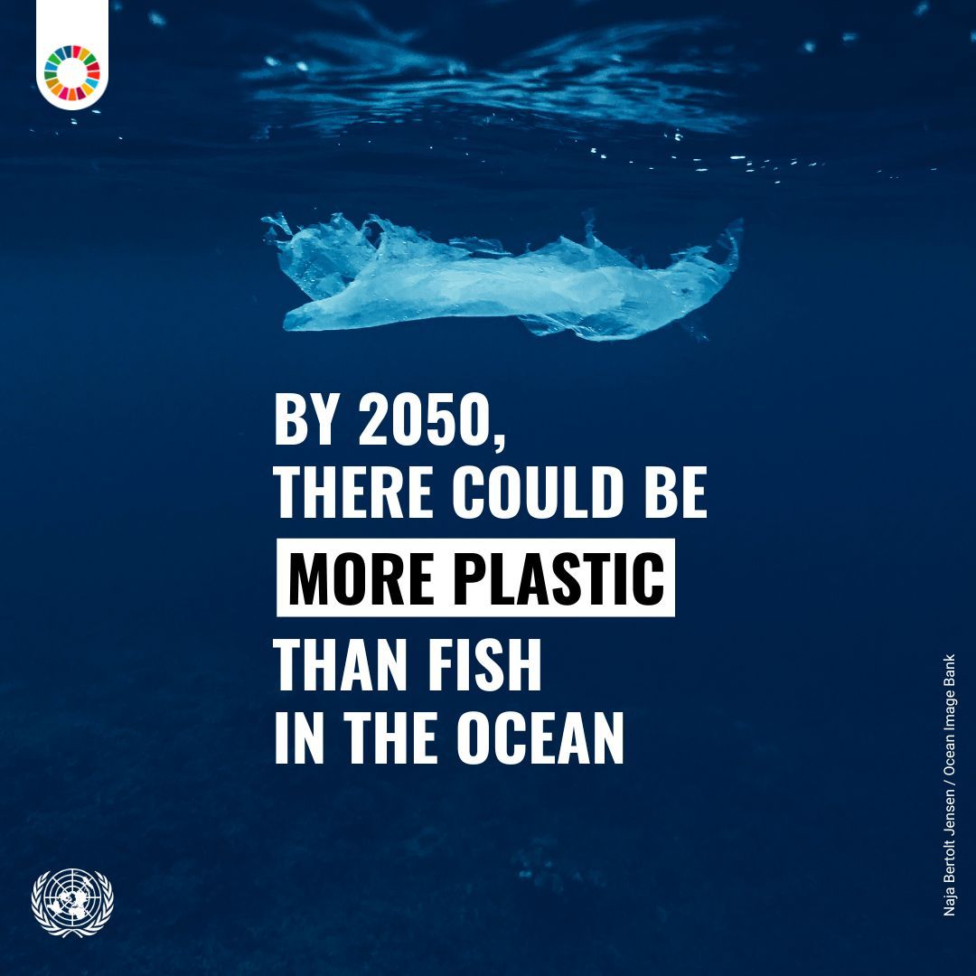 Amina J Mohammed tweet media