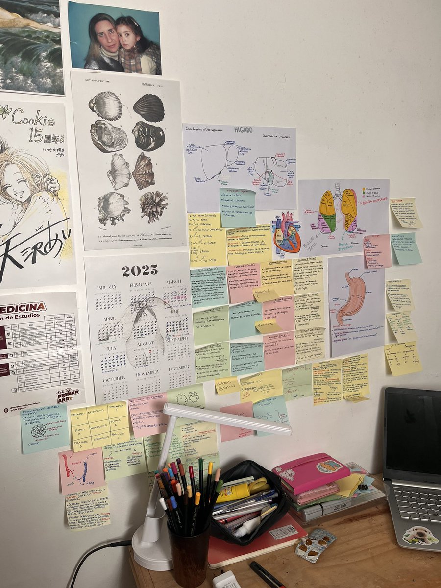 val 🖇️ tweet media