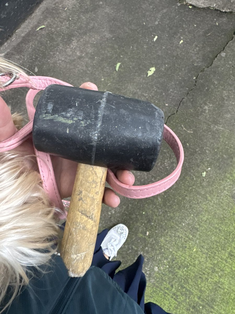 alereal2393's tweet image. @LaNapolesCdMx @AlcaldiaBenito @vecinosnapoles RT por fa! Tengan cuidado! Iba caminando por Chicago casi esquina con Nebraska, cuando nos cayo un pedazo de martillo, cayo a 3 cms de mi perrita, la pudo haber matado o me pudo haber caido a mi.  ¿Con quien denuncio?