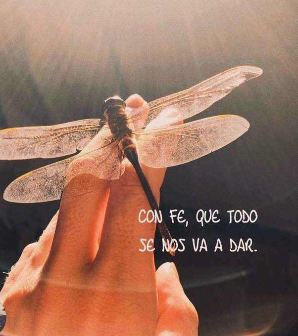 Águilas de Dios (@aguilassdedios) on Twitter photo 