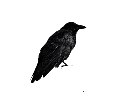 𓈒 𝓢𝗔͜͡𝗥𝗚𝗘 .ᐣ (@solvecruor) on Twitter photo 