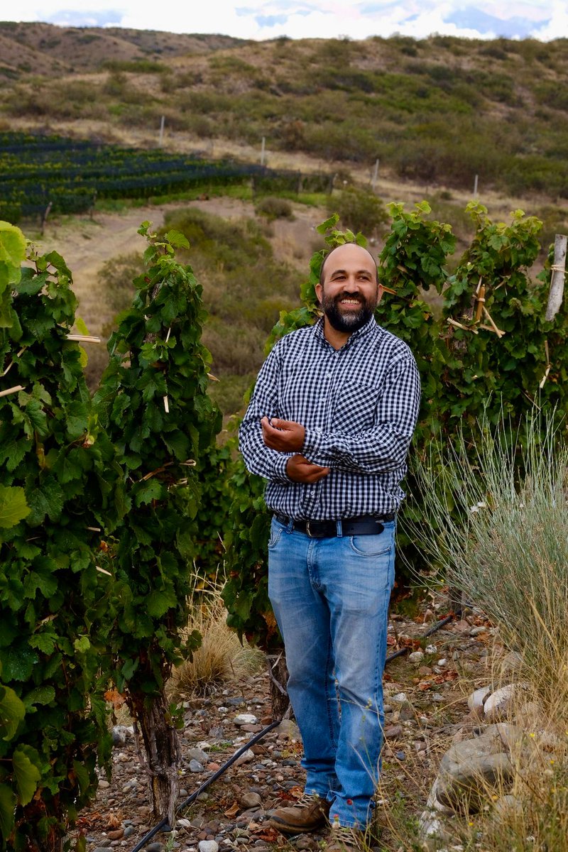 Zuccardi ValleDeUco tweet media
