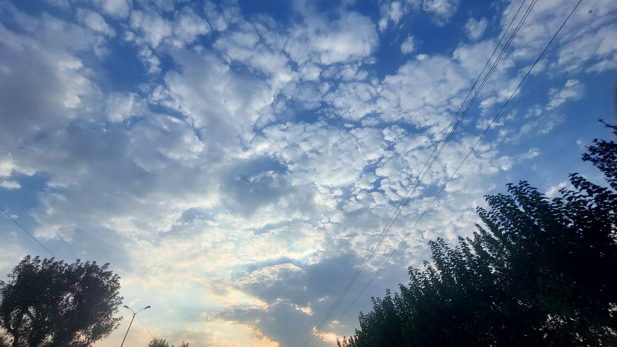 (فِری)Batman🦇 tweet media