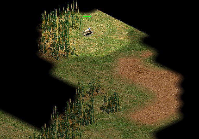 30 días siendo esta oveja