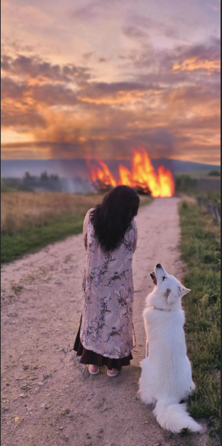 Zul'Zorander 𐂂 𓍊𓋼𓍊☽ tweet media