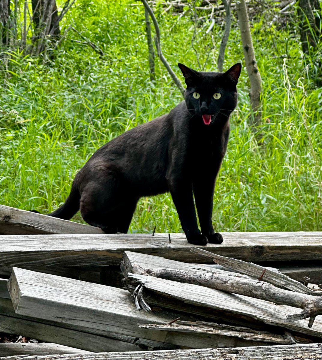 j (@grimeywonderj) on Twitter photo 