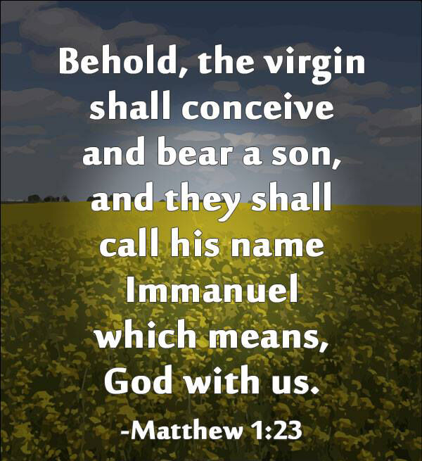 dicklawfirm's tweet image. #SunshineTherapy #AfternoonPeace #HopefulHeart