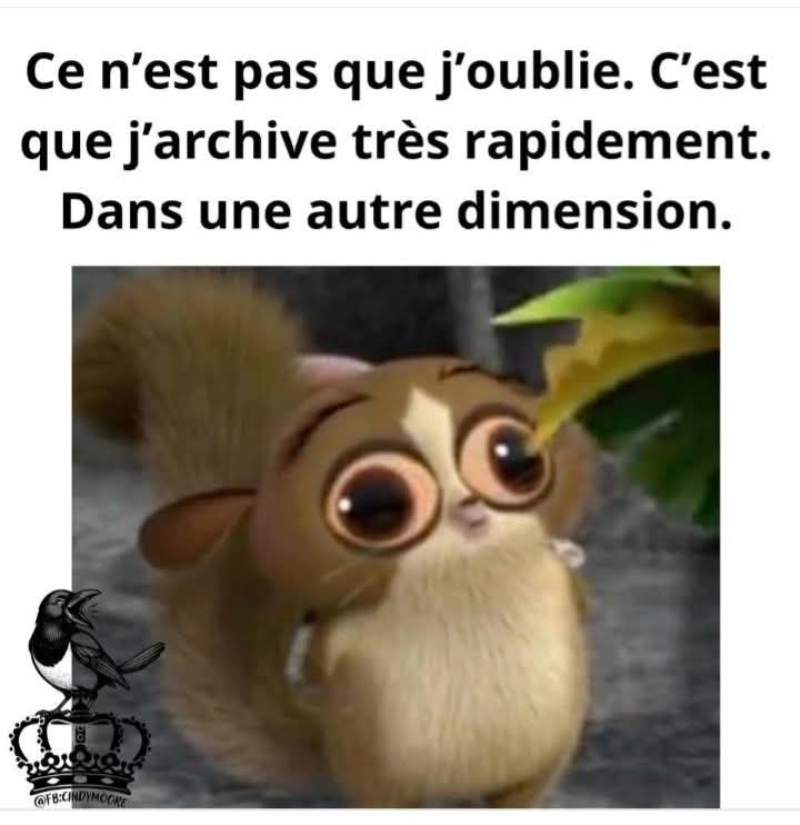 The Joconde 🐦 (@viedelajoconde) on Twitter photo 