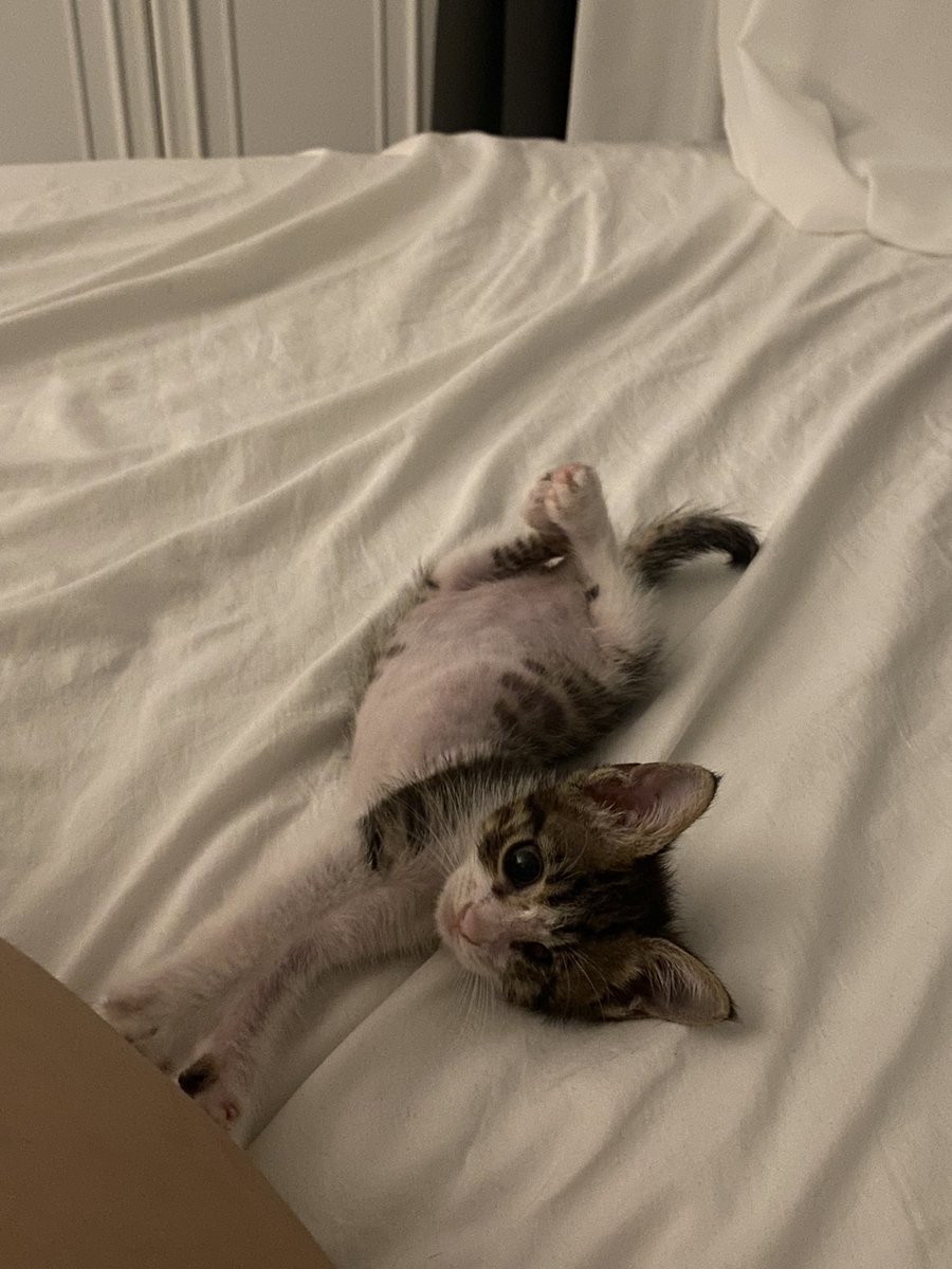 ane buyunce balerin olcm