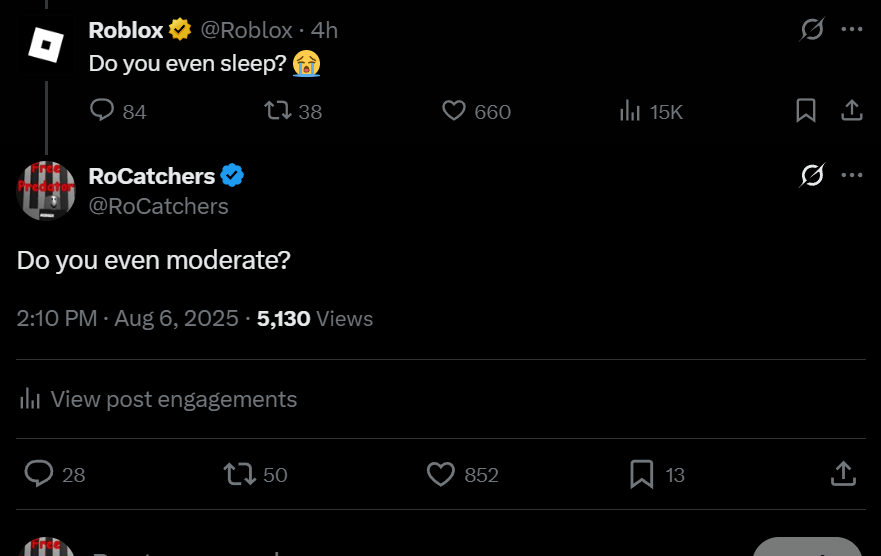 RoCatchers tweet media