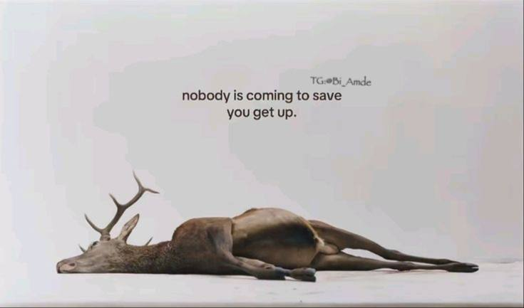 •Nobody is coming to save you get up!