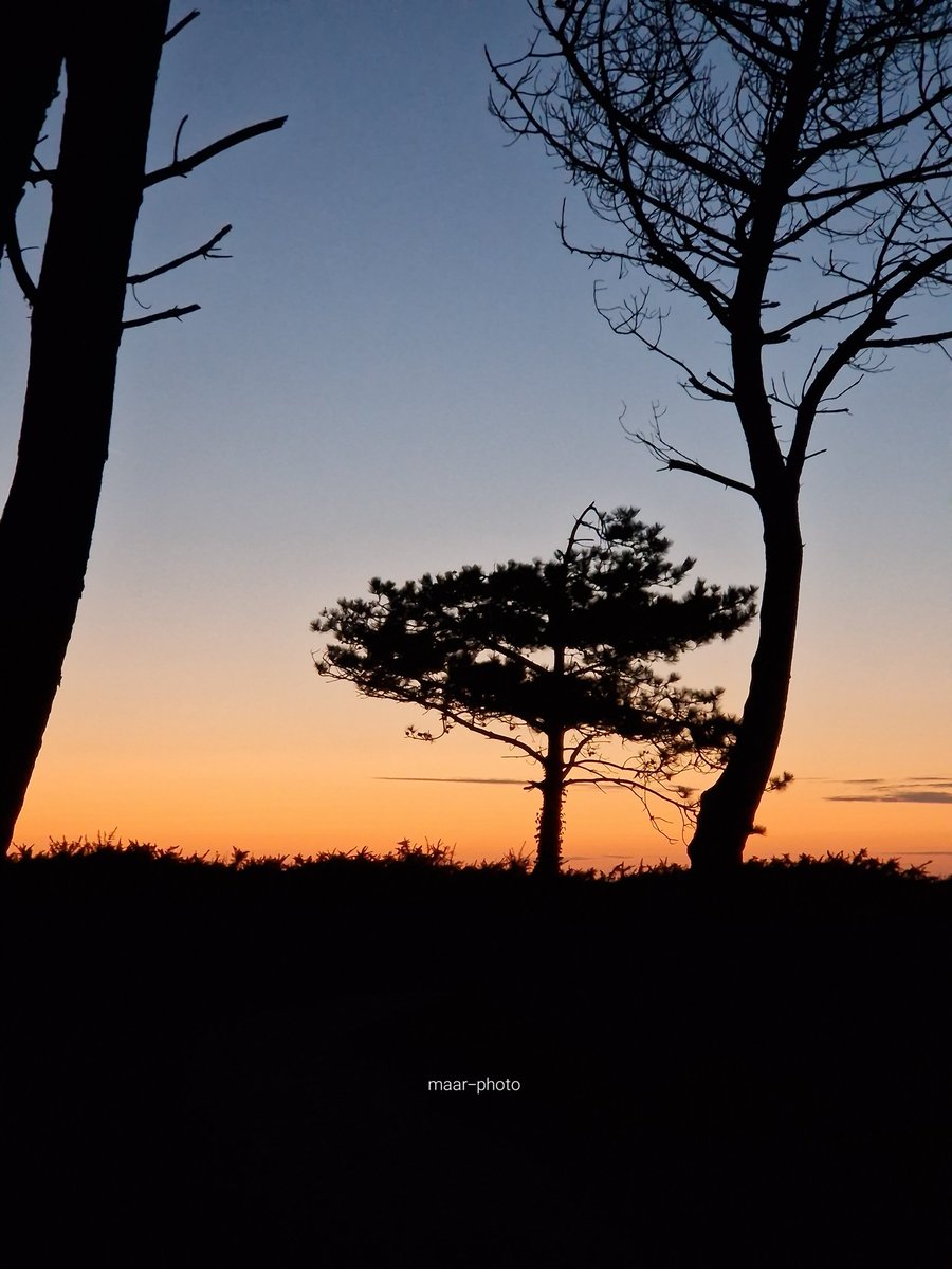 becel_maryvonne's tweet image. #sunset #sunsetphotography  #sunsetxvibes  #SunsetLovers 
#SummerVibes #summer