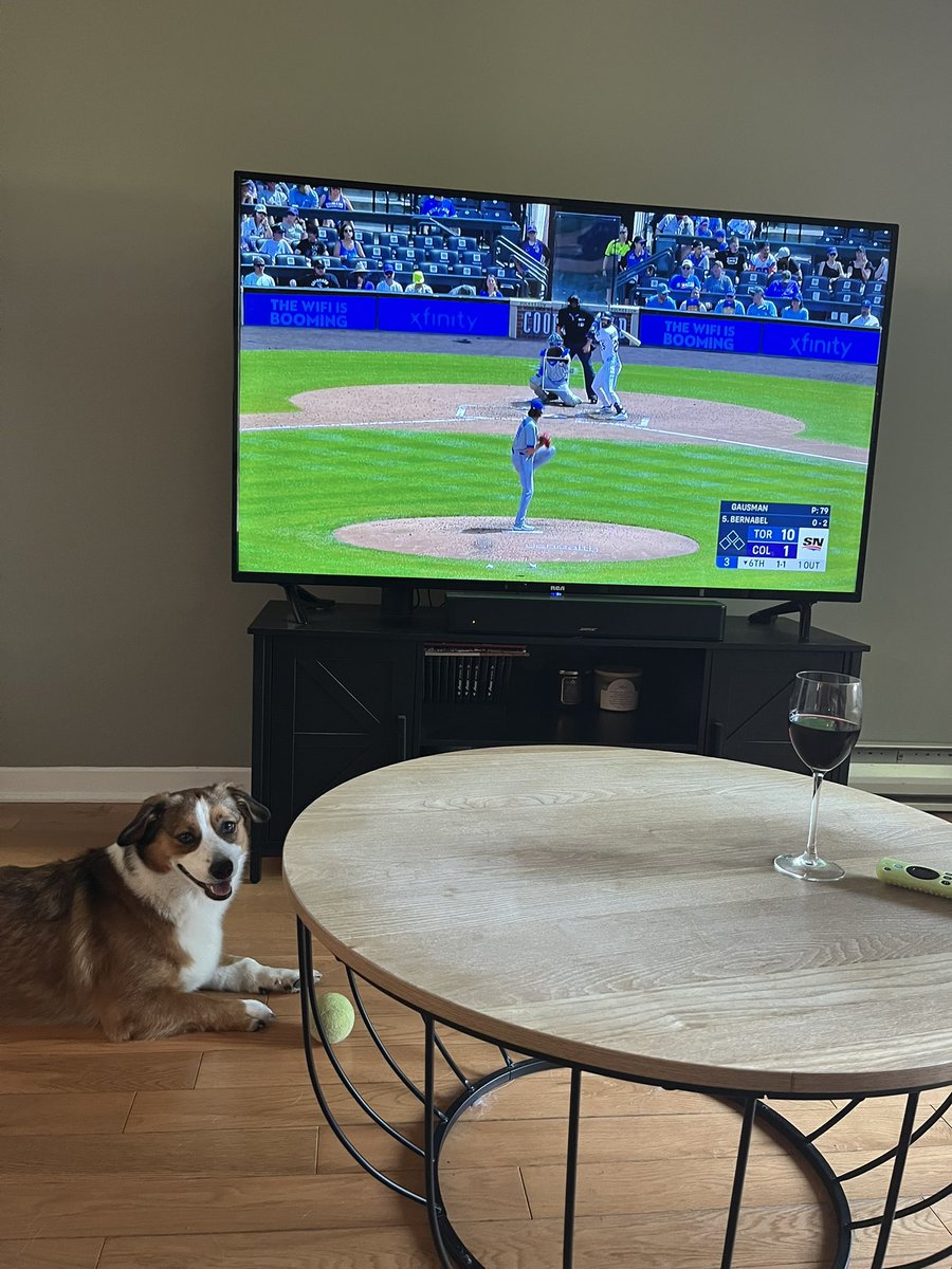 Moi et Zoé on fait dire que tout est sous contrôle pour les <a href="/BlueJays/">Toronto Blue Jays</a> ⚾️