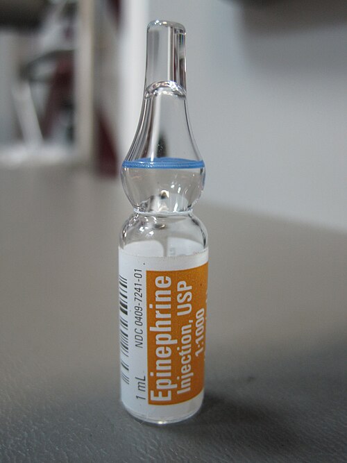 Push dose epi is the way to go in the bradycardic peri-arrest patient.

🫀 Inotrope + chronotrope 👌🏻
⏱️ onset 1 min

Just mix EPI 1 mg (1 vial 1mg/1ml ) into NaCl 0.9% 100ml, shake it, than pull out a 10ml syringe: you have EPI 10 mg/ml. 

👉🏻 Push 10-20 mcg every 2-5 min.