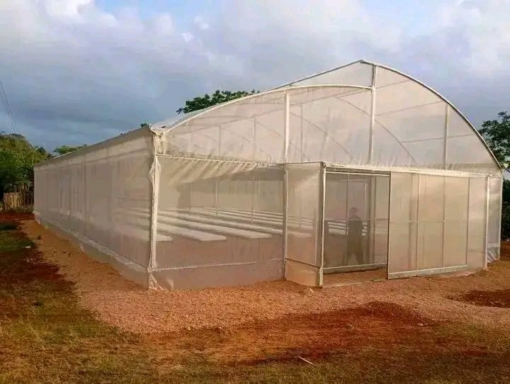 El equipo de la Ubpc Iraelda Marzo, #Maisí, cumple con lo propuesto: la casa de postura tecnificada que incrementará los volúmenes productivos en el territorio.
Para ellos la realidad supera los sueños, están a punto de dar vida a su primera siembra de posturas. #GenteQueSuma