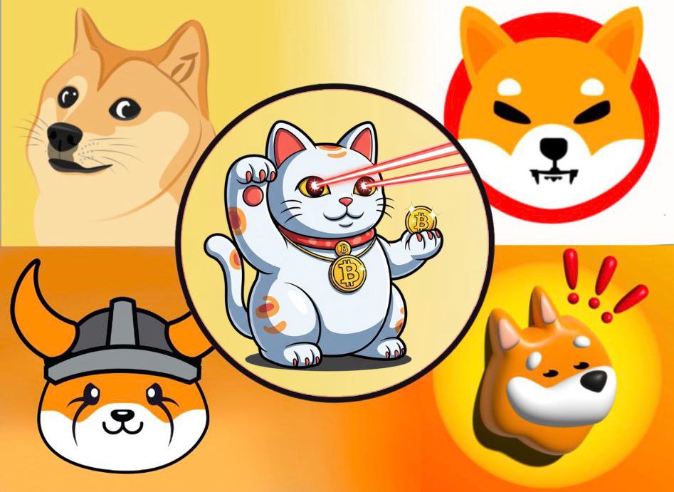 If you're a dog person, shoo shoo ! 

Just kidding, dogs are fine under the rule of $NEKO!