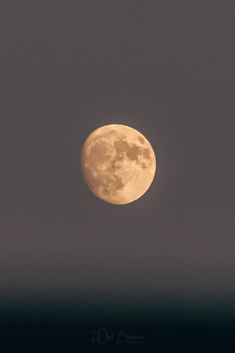 Telegram Group Smartphone Astrophotography (@smartphone_astr) on Twitter photo By our member <a href="/wailxs99/">Wail.P7</a> "📷 #Canon EOS 350D
⚙ F/5.6...iso1600...1/800".... 200mm
🔭 #TAMRON lens 200-55mm
🎨 LrC
📍#Algeria" - #Astrophotography #moon #Moonshot <a href="/MoonHourSocial/">#MoonHour™️Social</a> <a href="/the_ita_moon/">the_ita_moon</a> #luna By our member <a href="/wailxs99/">Wail.P7</a> "📷 #Canon EOS 350D
⚙ F/5.6...iso1600...1/800".... 200mm
🔭 #TAMRON lens 200-55mm
🎨 LrC
📍#Algeria" - #Astrophotography #moon #Moonshot <a href="/MoonHourSocial/">#MoonHour™️Social</a> <a href="/the_ita_moon/">the_ita_moon</a> #luna