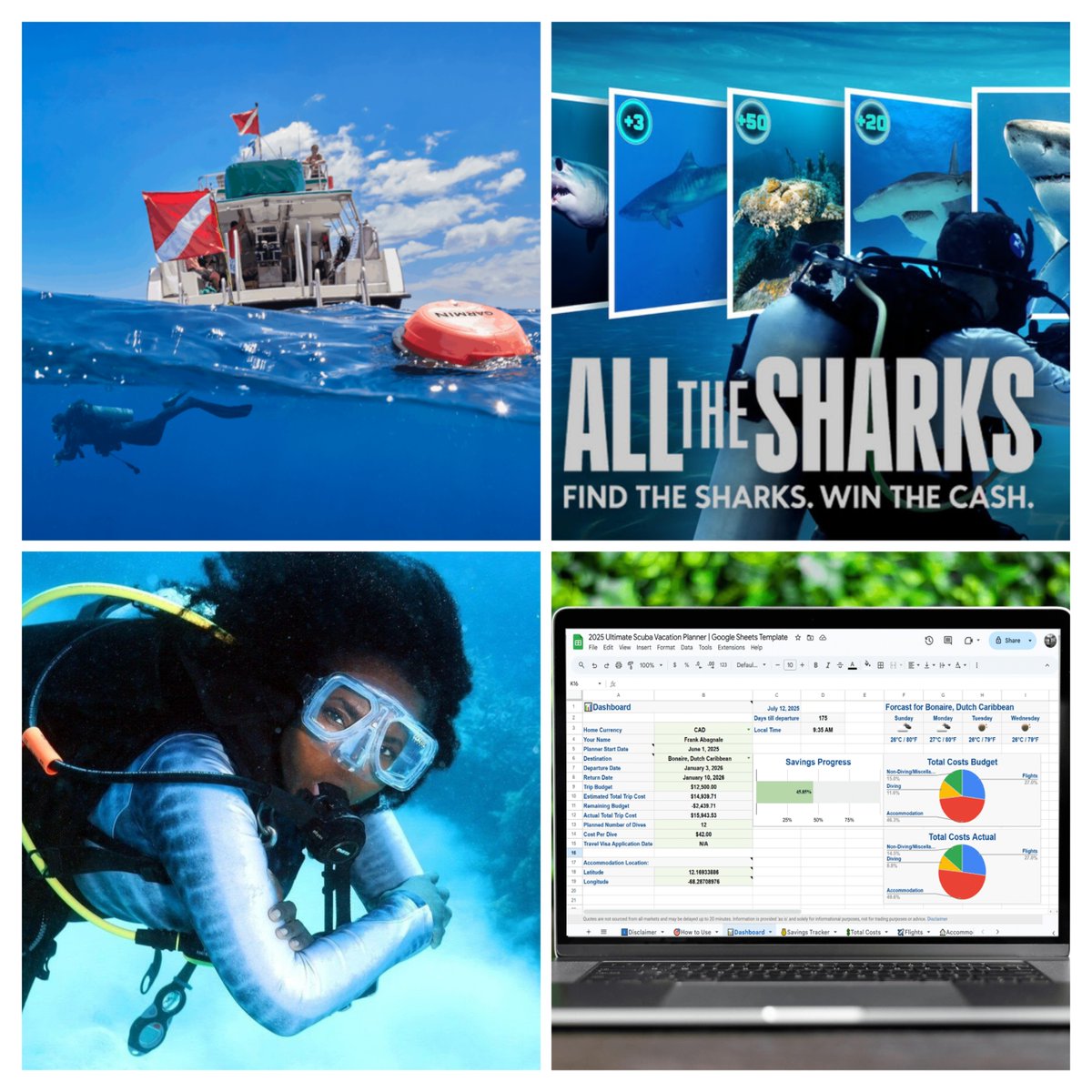 Scuba_Directory's tweet image. 🌊 August Newsletter is here! 🌊

✅Ultimate Scuba Vacation Planner
✅ Netflix’s All the Sharks
✅ World Record for Diving 7 Continents
✅ Garmin Descent S1 Buoy

📩 Subscribe now: thescubadirectory.com/about/newslett…
 
 #DiveNews #paditv #ScubaDivingMag #PADI #scubadivelife #scubadive
