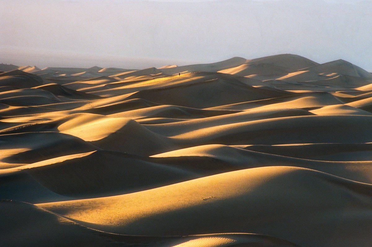 photos i made with my first film camera