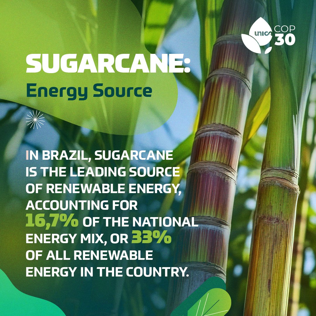 Brazil leads in renewables, with sugarcane making up 16.7% of its energy mix and 33% of all renewable energy. This week at #EXPO2025 Osaka, UNICA showcases how the sector supports a low-carbon future and global food &amp; energy security.
Visit us at the Brazilian Pavilion!