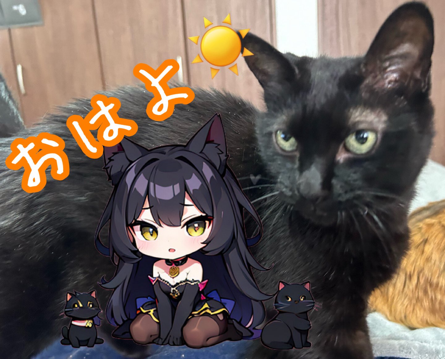 ニッキー様❤️おまとめ専用ページです。3/25まで♡ P-YYTS7-BK3 おなまえマッキー両用黒 ゼブラ 細字/極細字 油性